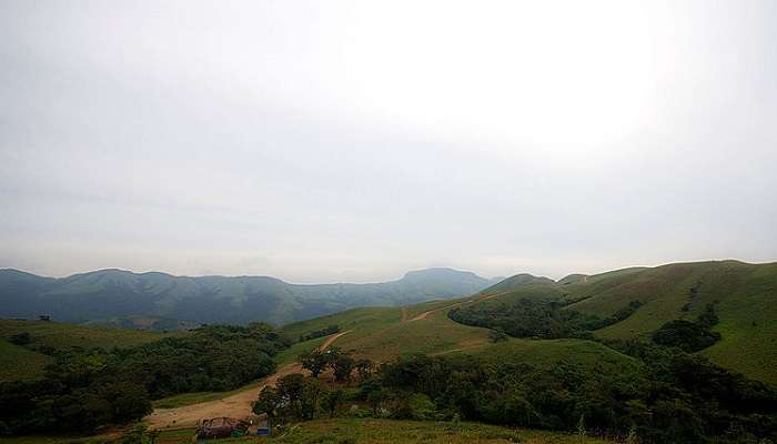 Bird Watching - Pushpagiri Wildlife Sanctuary, Things To Do In coorg