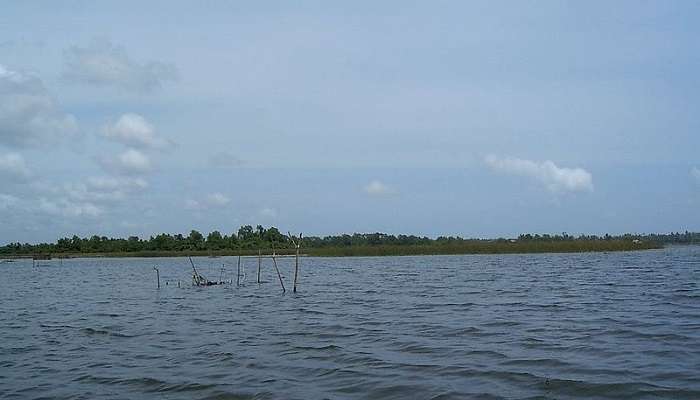 Bolgoda Lake is one of the best Places To Visit In Dehiwala- Mount Lavinia In January 