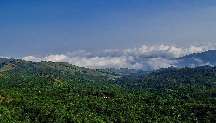 Brahmagiri—The Spectacular One among the Best Places to Visit near Wayanad