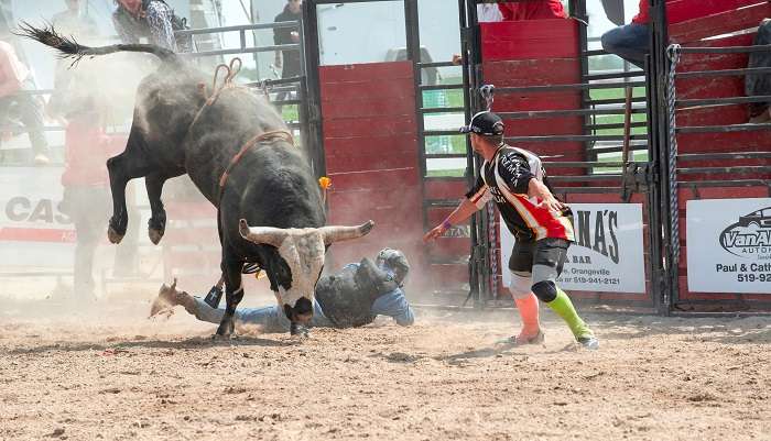 One of the thrilling Spanish Festival 