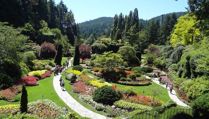 Bulchart Garden is among the best places to visit in Canada