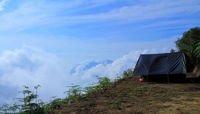 Camping tents under a sky in Munnar hill station adventure