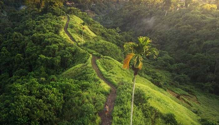 Campuhan Ridge Walk Bali 