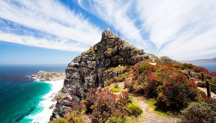 Cape Point,Cape Town In January