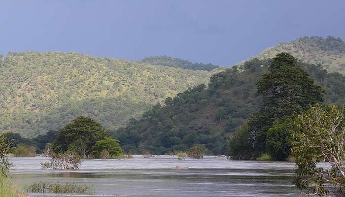 Go fishing in Kaveri river.