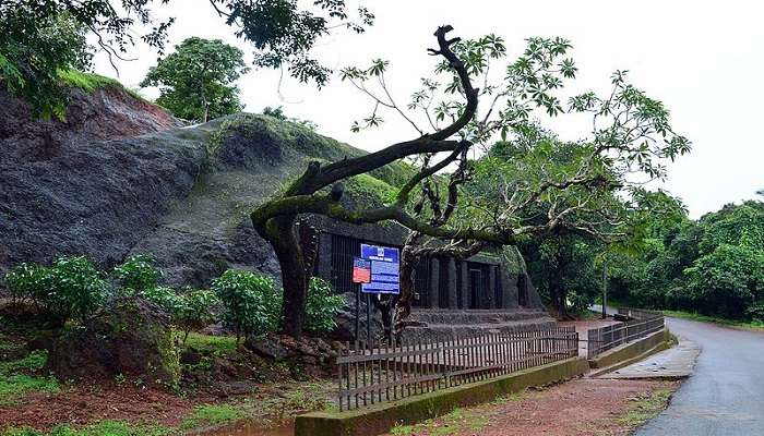 A gorgeous view of road in Goa that you can explore during your honeymoon in Goa