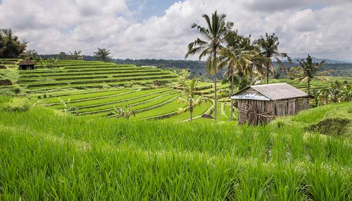 Celuk Village, Places To Visit In Gelgel In Bali In January