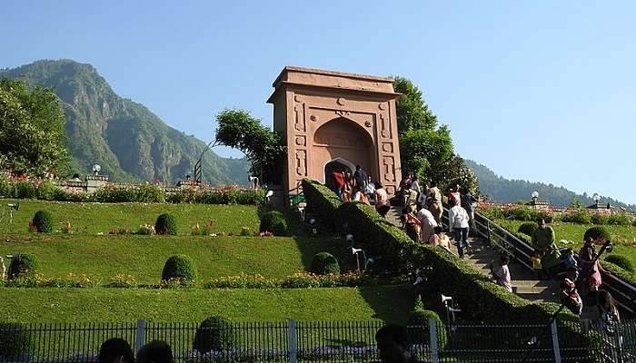 Chashme Shahi, things to do in srinagar