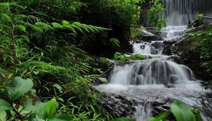 Chethalayam Waterfalls