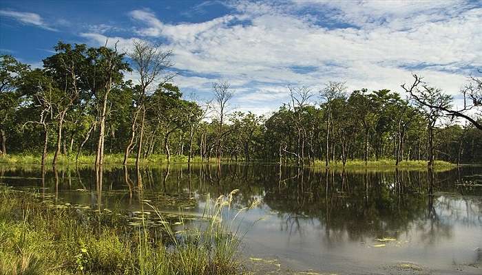 Visit this wildlife reserve in Nepal 