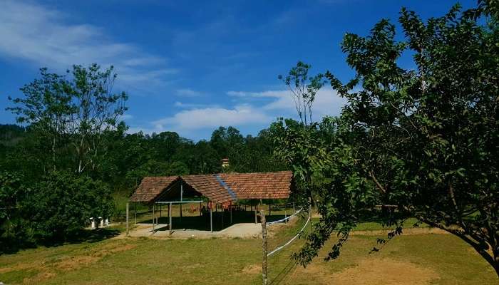 Civet Creek Camp, Things To Do In coorg