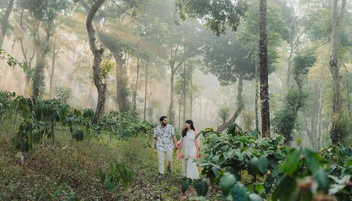 Coorg is one of the most romantic place near Chennai 