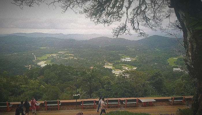 Coorg View, Kerala
