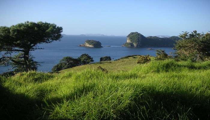 Coromandel Peninsula - New Zealand Tourist Attractions