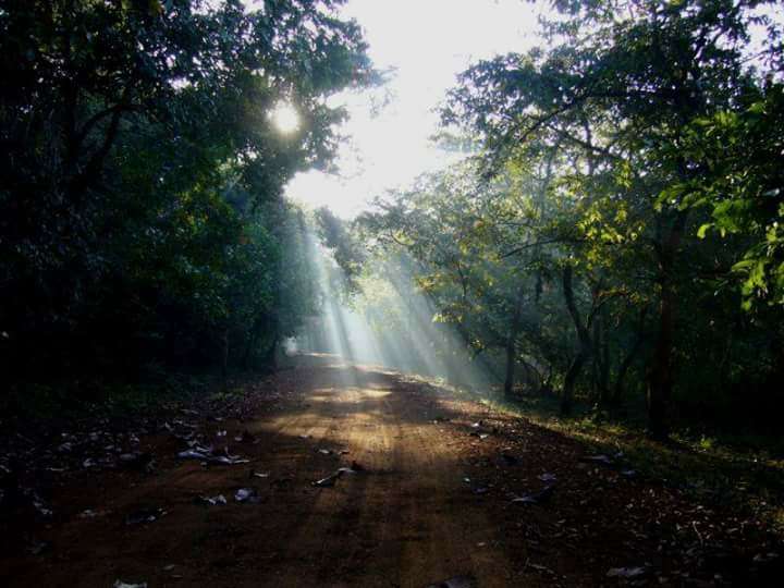 Cotigao Wildlife Sanctuary