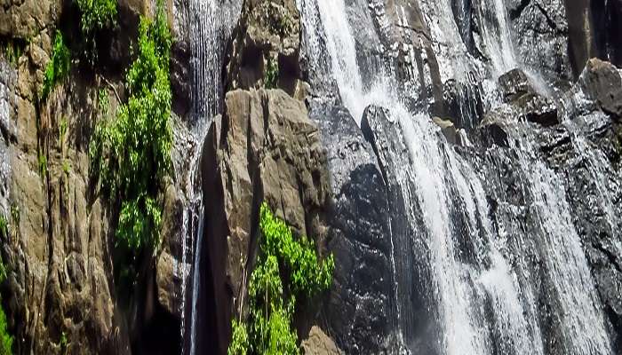 Courtallam Banner, Kerala