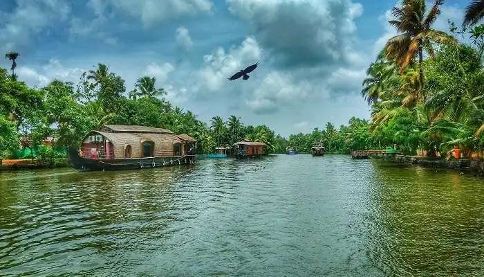 Croisière dans les backwaters d’Alleppey