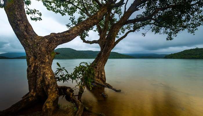 Dajipur is a perfect picnic spot near Pune for families with Children