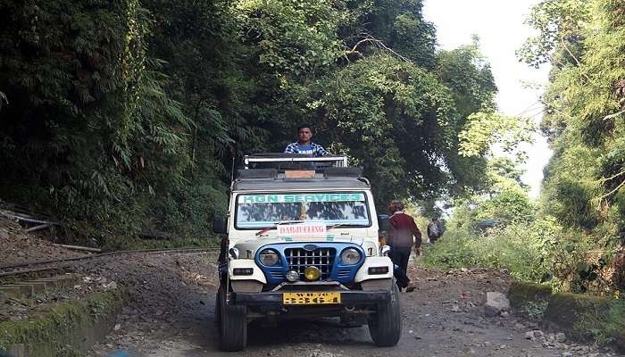 Jeeps are the best way of getting around Darjeeling