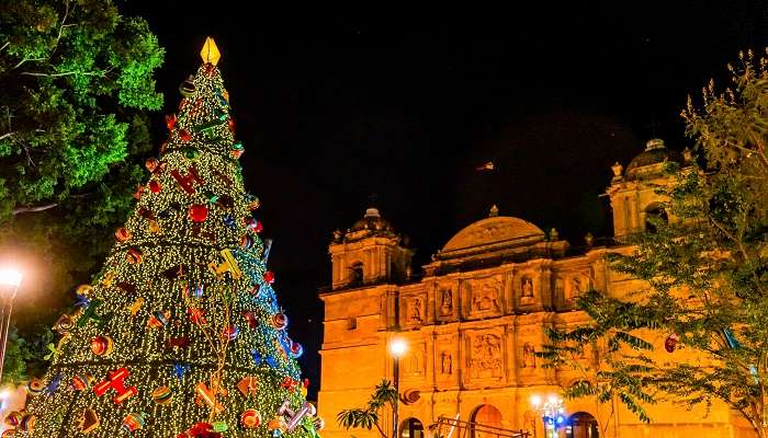 A Mexican Christmas Posada