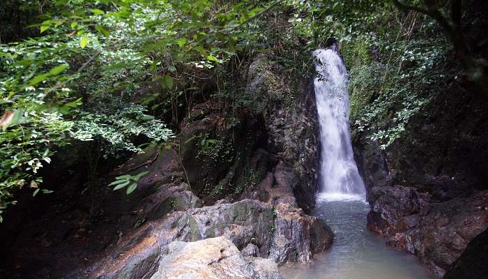 Raneh Falls - tourists places in Madhya Pradesh