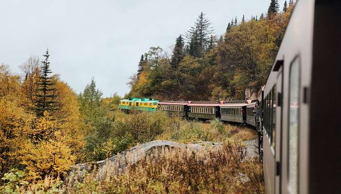 Toy Train Ride