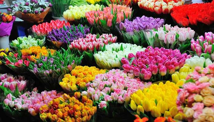 Flower Market