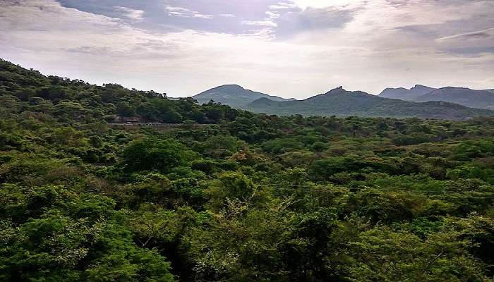 Devarayanadurga State Forest tumkur