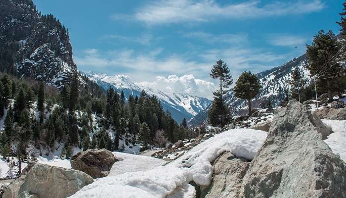 Top 9 Most Beautiful Valleys in Kashmir in 2026