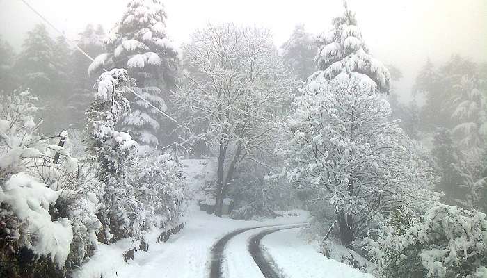 Dhanaulti, places to visit in Uttarakhand in winter