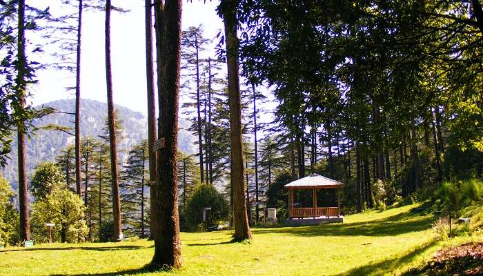 Dhanaulti, places to visit near Delhi