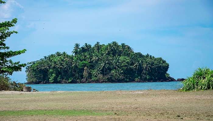 Lush greenery and serene waters of Dharmadam island