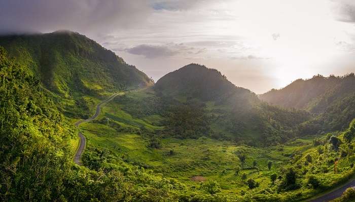 Dominica