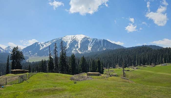 A splendid view of Doodhpathri