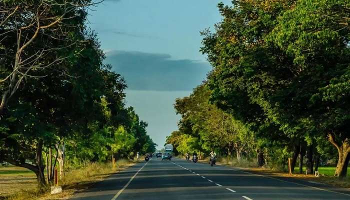 serene views of East Coast Road 