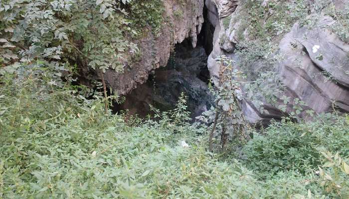 A gorgeous view of Eco Cave Gardens