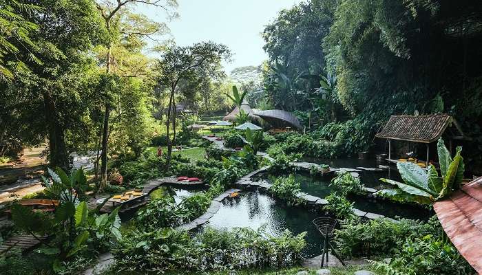 Eco Paradise Bambu Indah, Places To Visit Near Campuhan Ridge Walk Bali In March