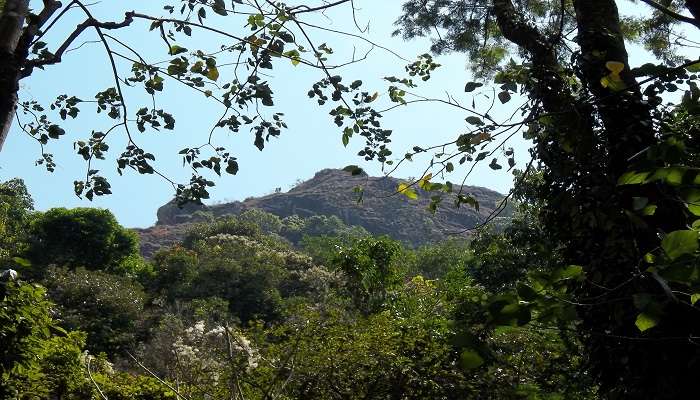 The scenic view of Wayanad in December from Edakkal caves.