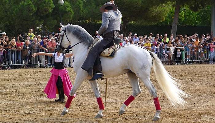 Beautiful Spanish Festival 