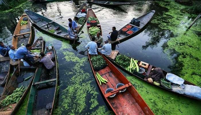 Floating Vegetable Market, things to do in srinagar