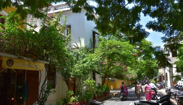 Green Quarter in Pondicherry- best things to do in Pondicherry