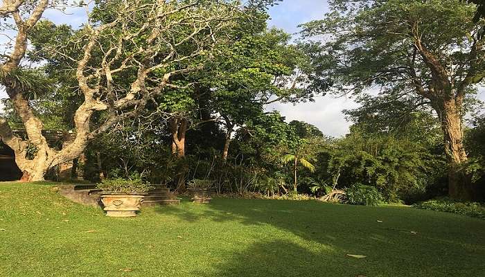 One of the best things to do in Kalutara in March is wandering in the Brief Garden