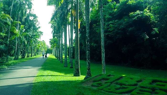 Gampaha Botanical Garden