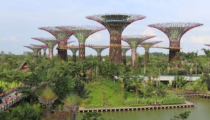 The view of Gardens By The Bay in Singapore. 