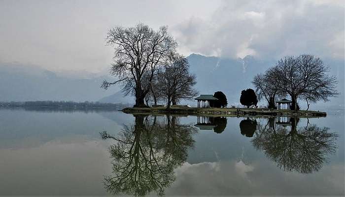 Garden of Char Chinar, things to do in srinagar