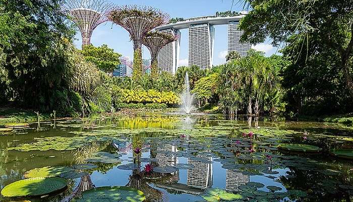 gardens by the bay on your list in things to do in Downtown core in February.