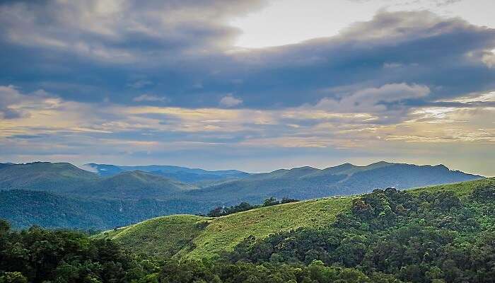 lush greenery and a peaceful environment