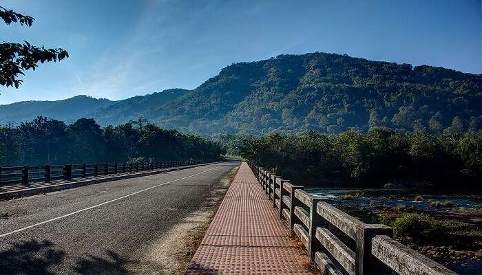 A rural road in Kerala during December