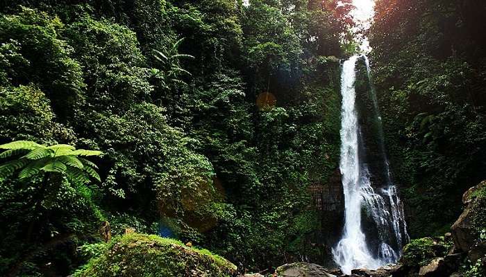  Gitgit waterfall is one of the best Places To Visit Near Pura Luhur Batukaru Bali In March