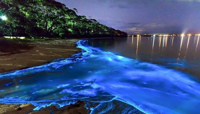 Glow in the Dark Beach